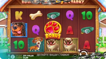 Как выглядит слот The Dog House: автоматы и бонусы